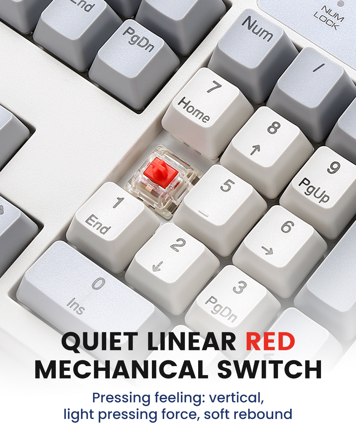 perixx-periboard-108m-mechanical-full-size-keyboard-gateron-red-sa-keycaps image 2
