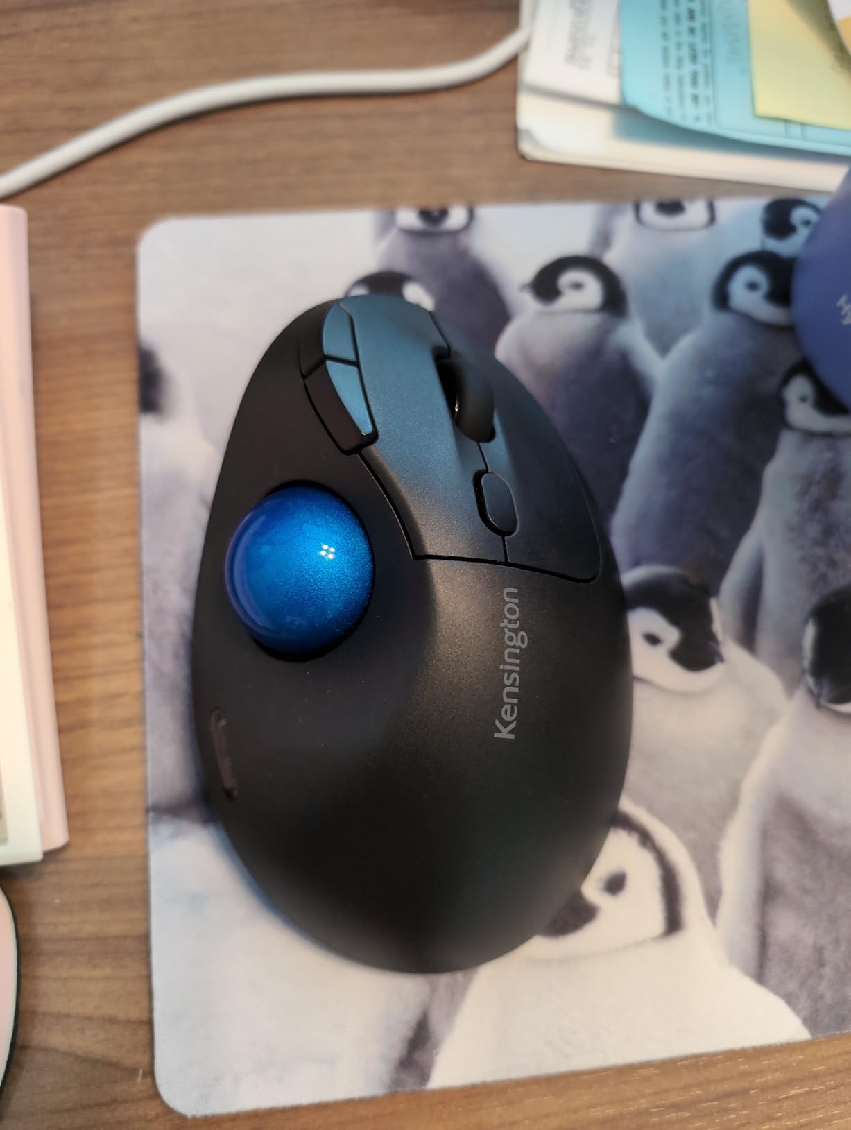 Sleek and functional
