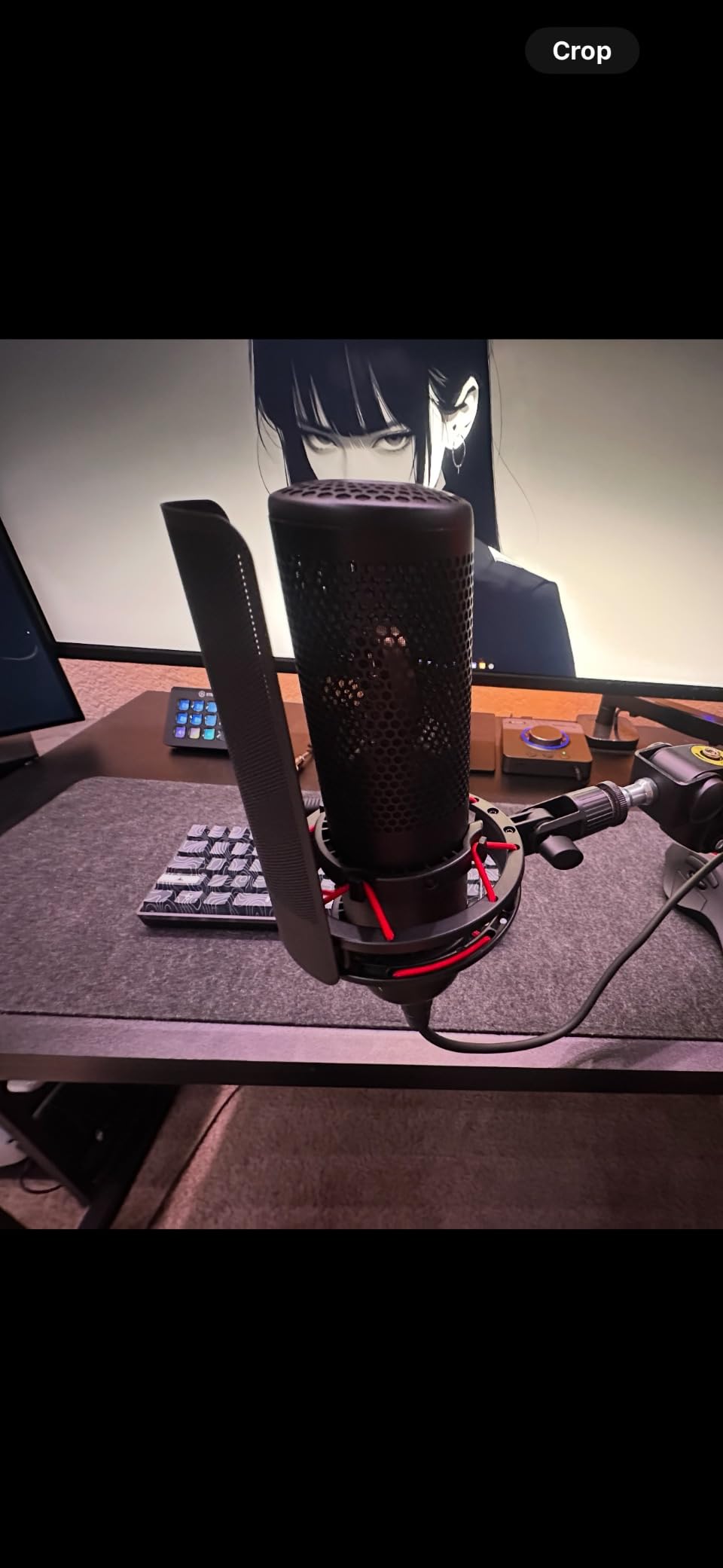 Great mic, but needs an interface