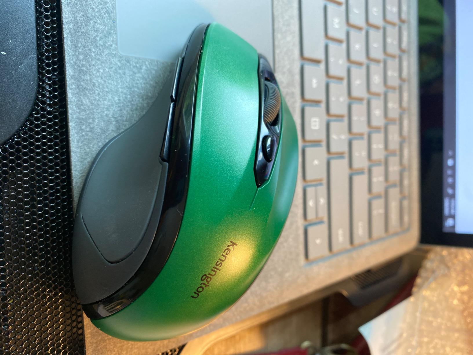 Love this mouse!