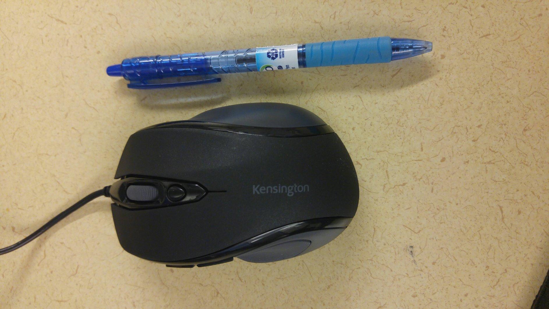 Perfect everyday mouse