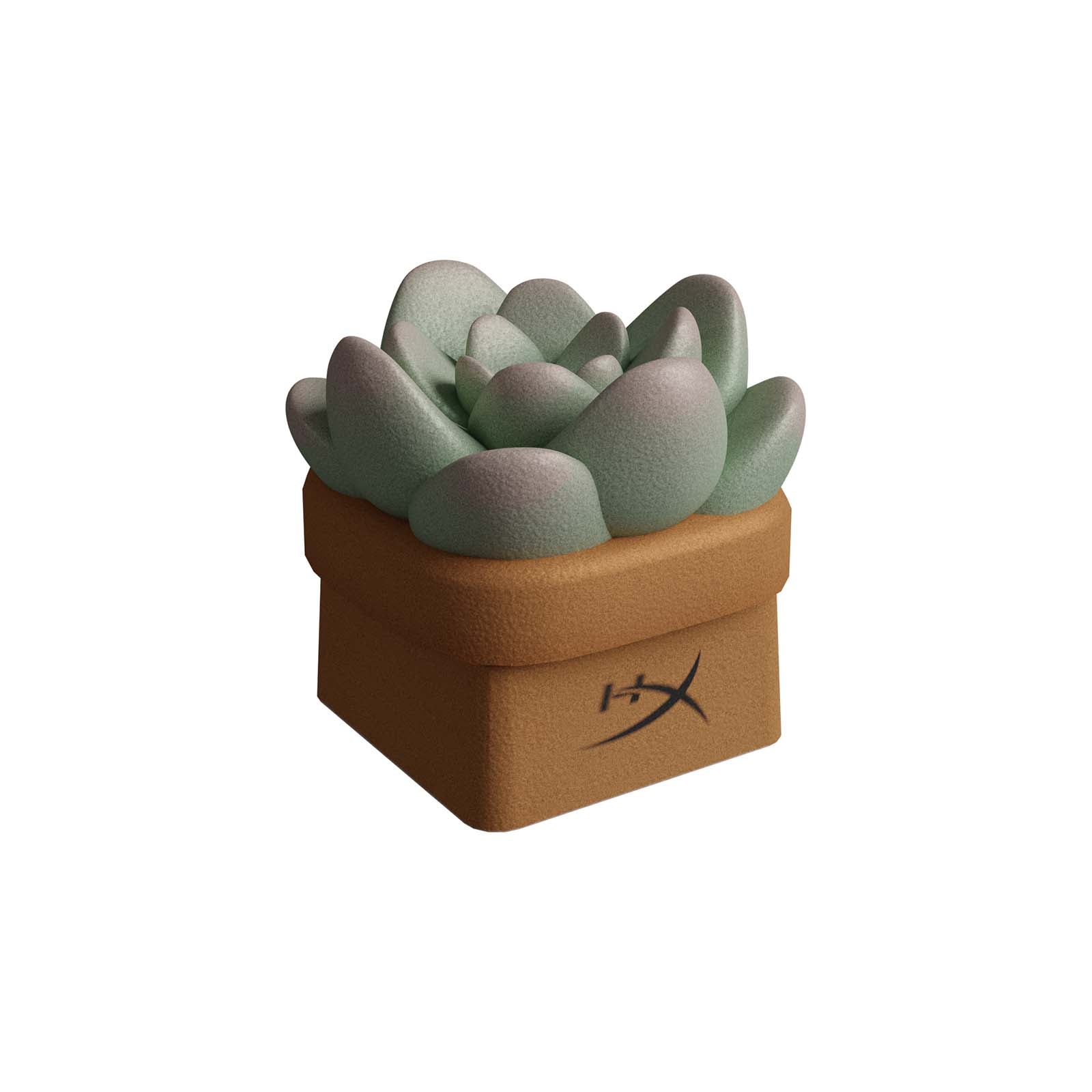 hyperx-hx3d-sally-the-succulent-keycap image 2