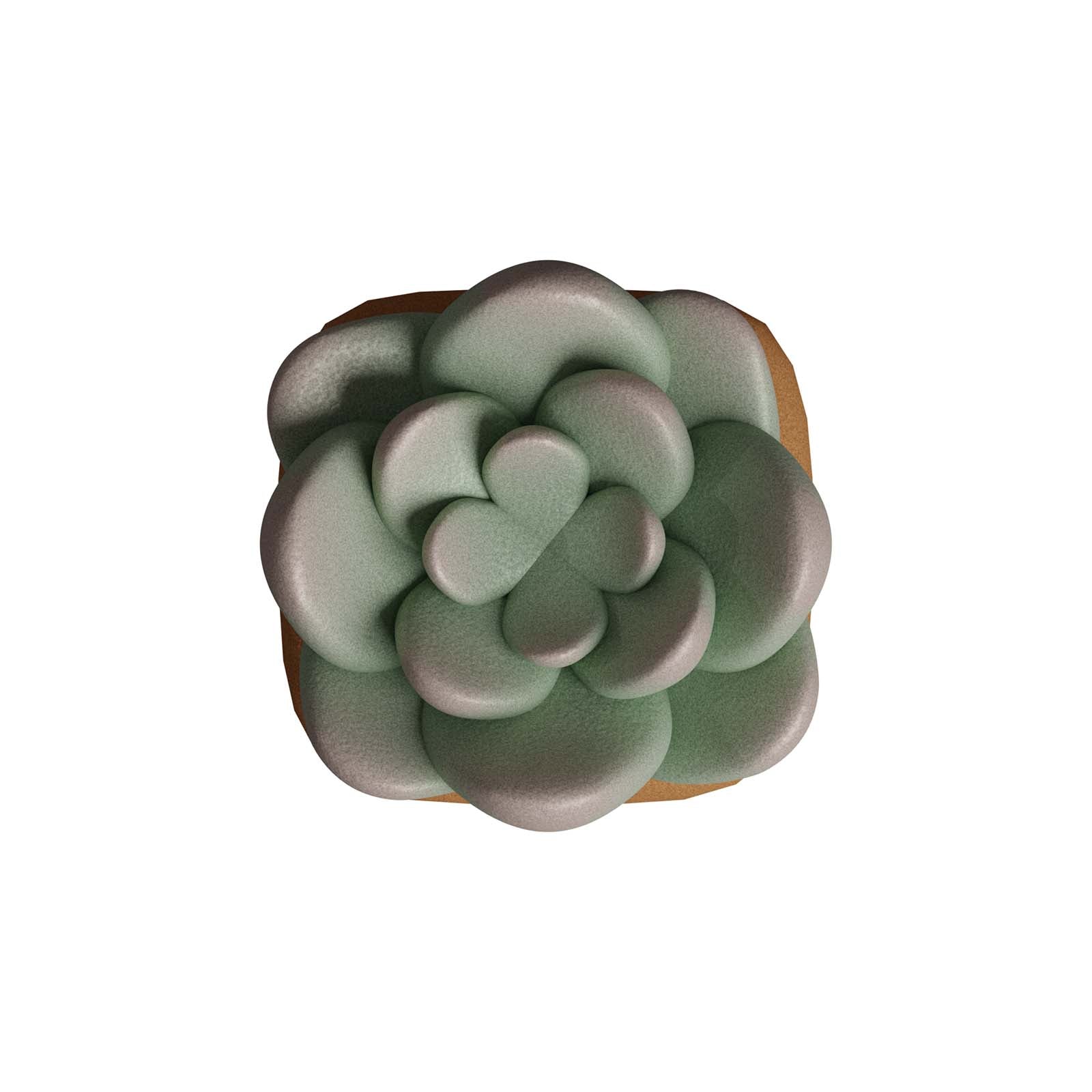 hyperx-hx3d-sally-the-succulent-keycap image 4