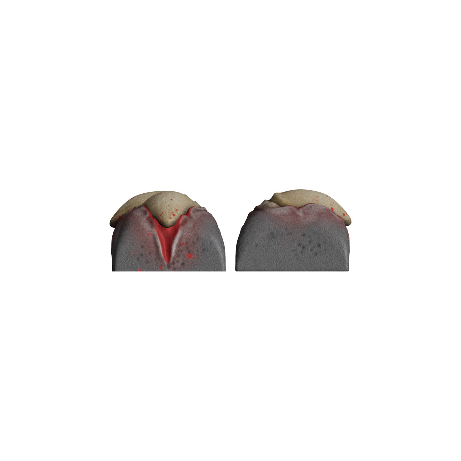 hyperx-hx3d-movement-set-werewolf image 6